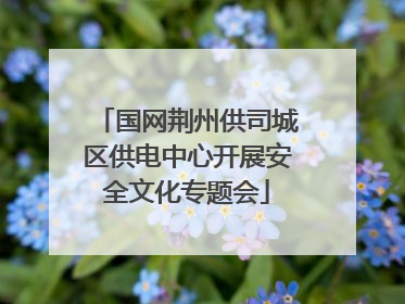 国网荆州供司城区供电中心开展安全文化专题会