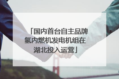 国内首台自主品牌氢内燃机发电机组在湖北投入运营