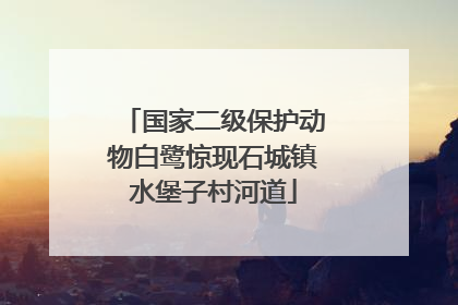 国家二级保护动物白鹭惊现石城镇水堡子村河道