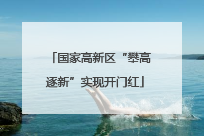 国家高新区“攀高逐新”实现开门红