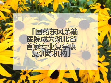 国药东风茅箭医院成为湖北省首家专业复学康复训练机构