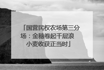 国营民权农场第三分场：金穗卷起千层浪 小麦收获正当时
