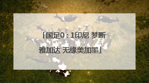 国足0∶1印尼 梦断雅加达 无缘美加墨