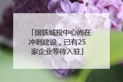 国铁城投中心尚在冲刺建设，已有25家企业等待入驻