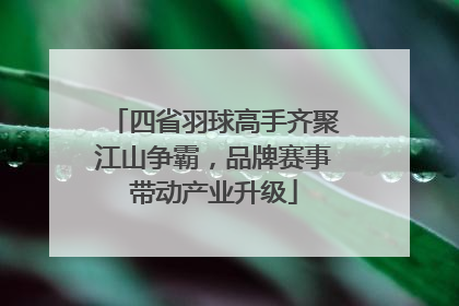 四省羽球高手齐聚江山争霸，品牌赛事带动产业升级