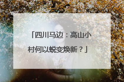 四川马边：高山小村何以蜕变焕新？