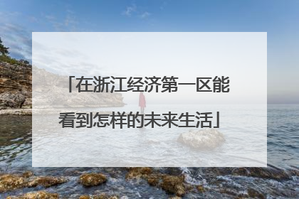 在浙江经济第一区能看到怎样的未来生活
