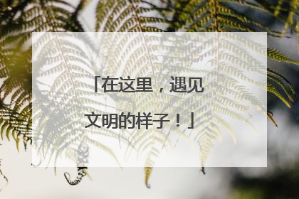 在这里，遇见文明的样子！