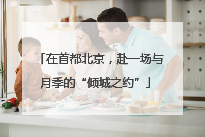 在首都北京，赴一场与月季的“倾城之约”