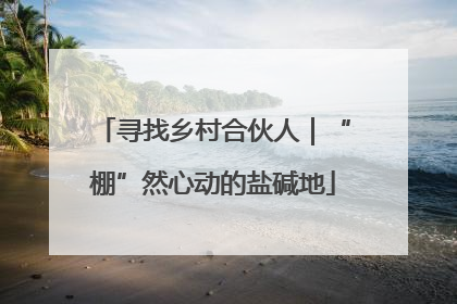 寻找乡村合伙人｜“棚”然心动的盐碱地