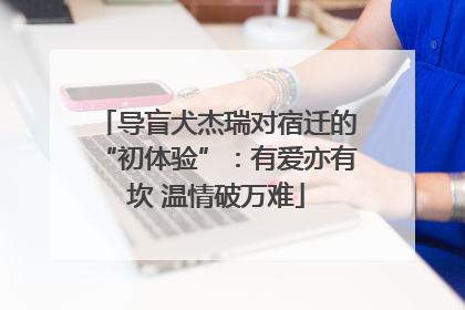 导盲犬杰瑞对宿迁的“初体验”：有爱亦有坎 温情破万难