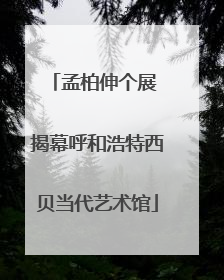 孟柏伸个展 揭幕呼和浩特西贝当代艺术馆