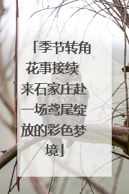 季节转角花事接续 来石家庄赴一场鸢尾绽放的彩色梦境