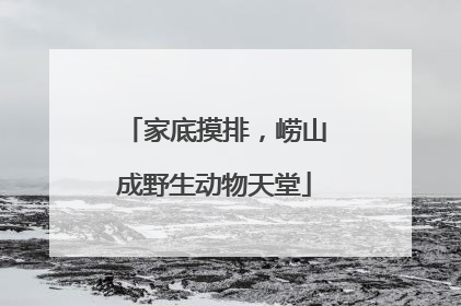 家底摸排，崂山成野生动物天堂