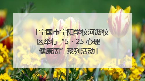 宁国市宁阳学校河沥校区举行“5・25 心理健康周”系列活动