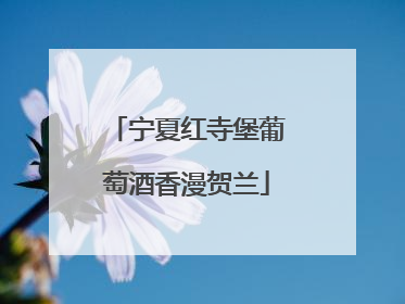 宁夏红寺堡葡萄酒香漫贺兰