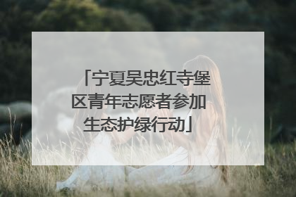 宁夏吴忠红寺堡区青年志愿者参加生态护绿行动