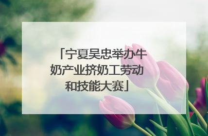宁夏吴忠举办牛奶产业挤奶工劳动和技能大赛