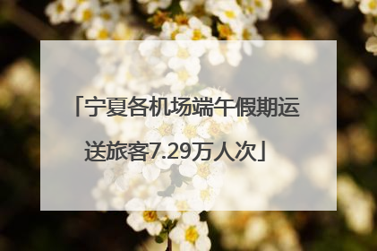 宁夏各机场端午假期运送旅客7.29万人次