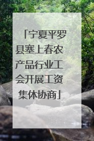 宁夏平罗县塞上春农产品行业工会开展工资集体协商