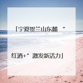 宁夏贺兰山东麓 “红酒+”激发新活力