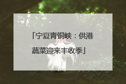 宁夏青铜峡：供港蔬菜迎来丰收季