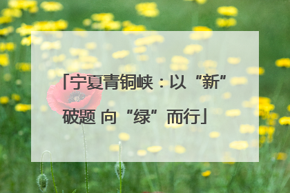 宁夏青铜峡：以“新”破题 向“绿”而行