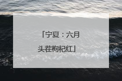 宁夏：六月头茬枸杞红