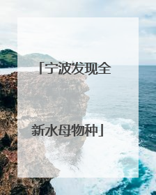 宁波发现全新水母物种
