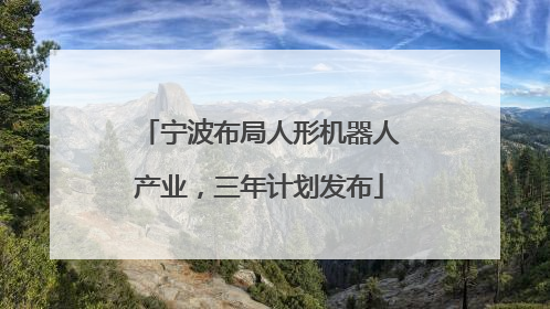 宁波布局人形机器人产业，三年计划发布