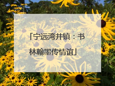 宁远湾井镇：书林翰墨传情谊