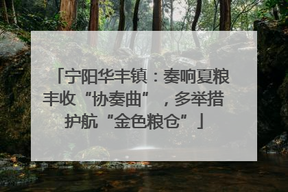 宁阳华丰镇：奏响夏粮丰收“协奏曲”，多举措护航“金色粮仓”