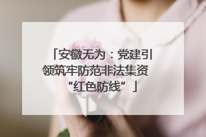 安徽无为：党建引领筑牢防范非法集资“红色防线”
