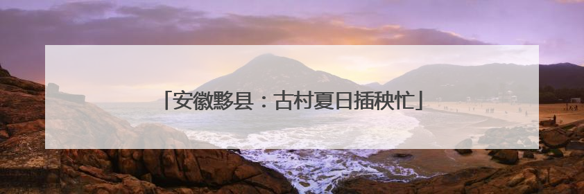 安徽黟县：古村夏日插秧忙