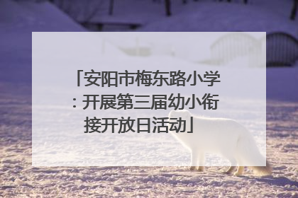 安阳市梅东路小学：开展第三届幼小衔接开放日活动