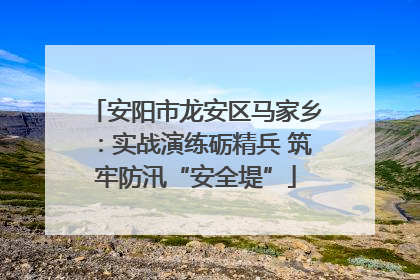 安阳市龙安区马家乡：实战演练砺精兵 筑牢防汛“安全堤”