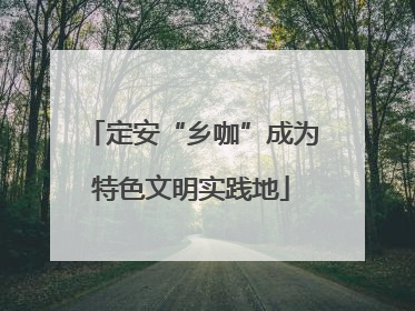 定安“乡咖”成为特色文明实践地