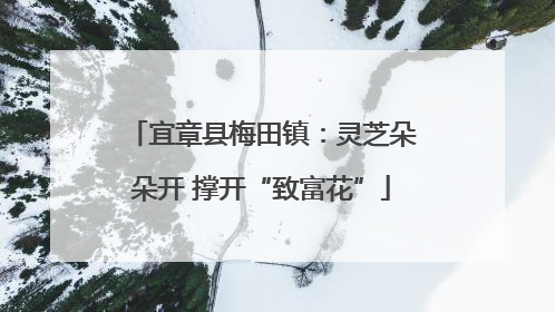 宜章县梅田镇：灵芝朵朵开 撑开“致富花”