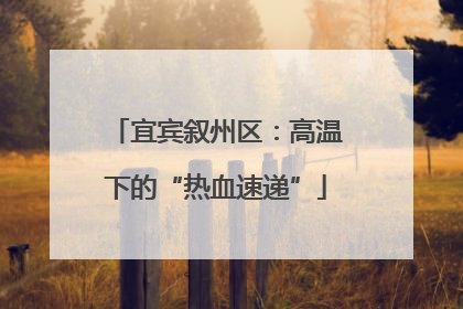 宜宾叙州区：高温下的“热血速递”