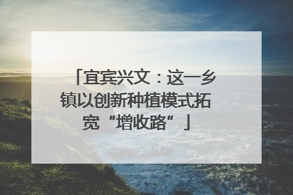 宜宾兴文：这一乡镇以创新种植模式拓宽“增收路”