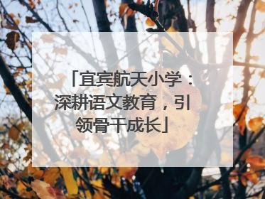 宜宾航天小学：深耕语文教育，引领骨干成长