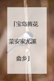 宝岛黄花菜安家尤溪畲乡