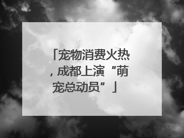 宠物消费火热，成都上演“萌宠总动员”