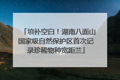 填补空白！湖南八面山国家级自然保护区首次记录珍稀物种宽距兰