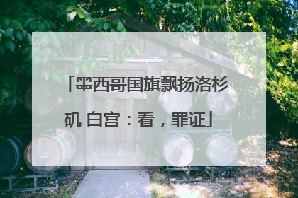 墨西哥国旗飘扬洛杉矶 白宫：看，罪证