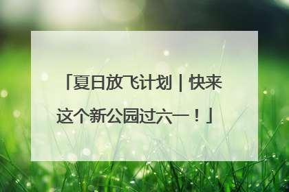 夏日放飞计划｜快来这个新公园过六一！