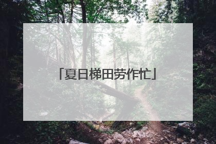 夏日梯田劳作忙