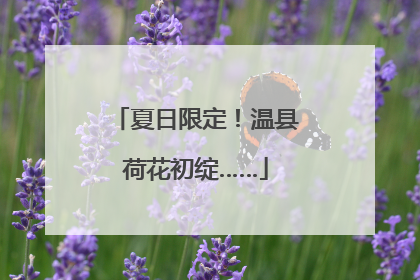 夏日限定！温县荷花初绽……