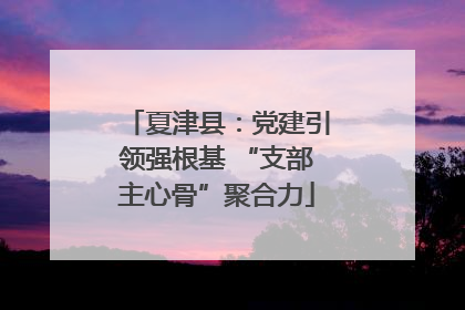 夏津县：党建引领强根基 “支部主心骨”聚合力