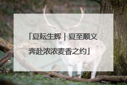 夏耘生辉｜夏至顺义奔赴浓浓麦香之约